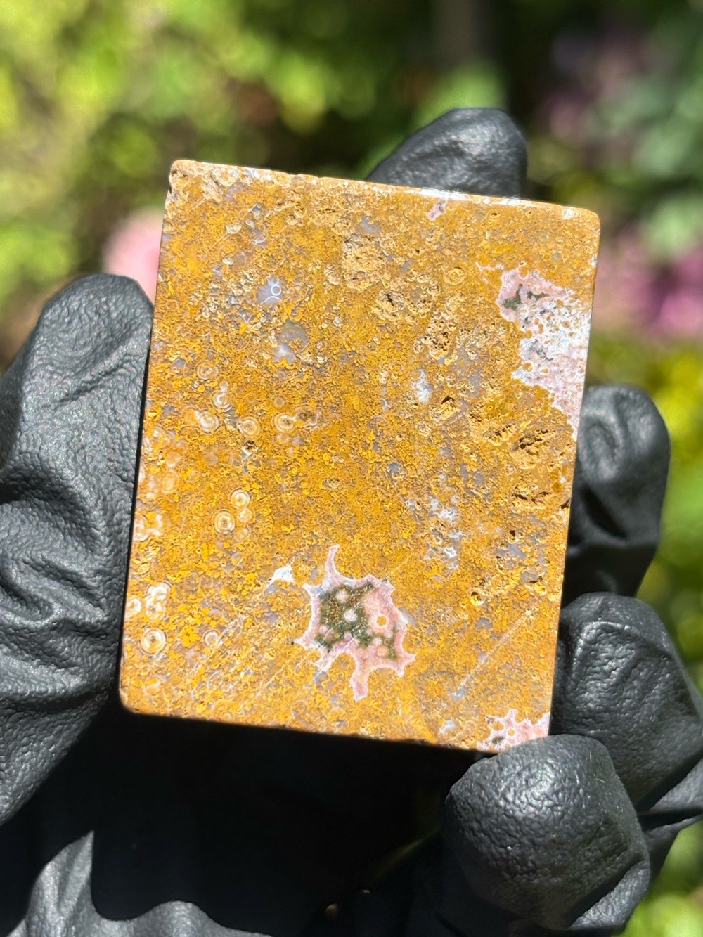 Ocean Jasper Crystal Freeform - Polished Sea Jasper